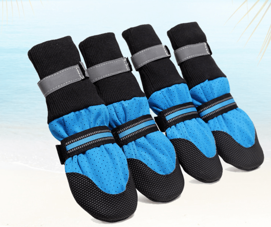 Dogs and Cats Boutique 4 Blue / XXL Pet Dog Shoes Anti-slip Snow Pet Boots