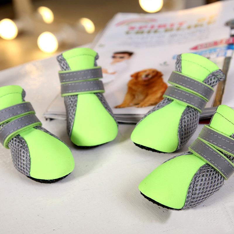 Dogs and Cats Boutique 4 Green / L Teddy Dog Shoes