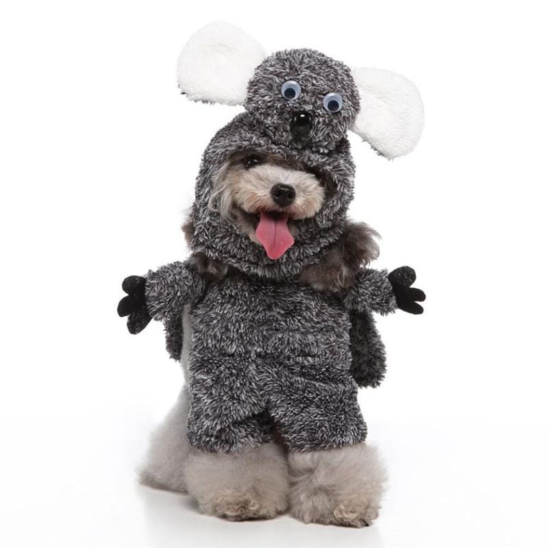 Dogs and Cats Boutique 5 A / S Time To Play Dog Winter Costume