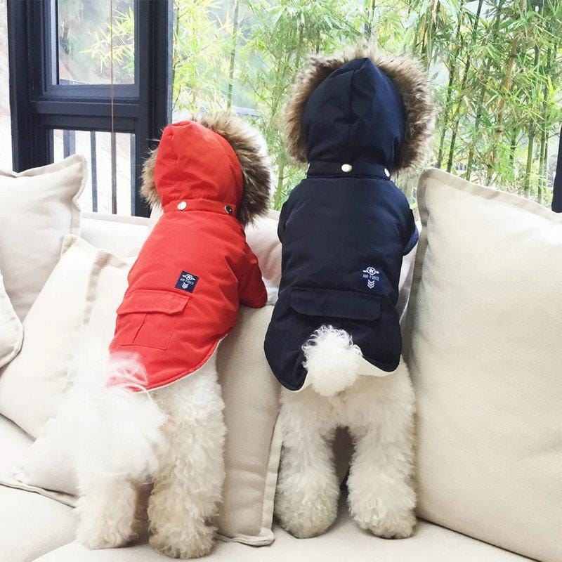 Dogs and Cats Boutique 5 Big Bad Woof Hooded Winter Dog Coat