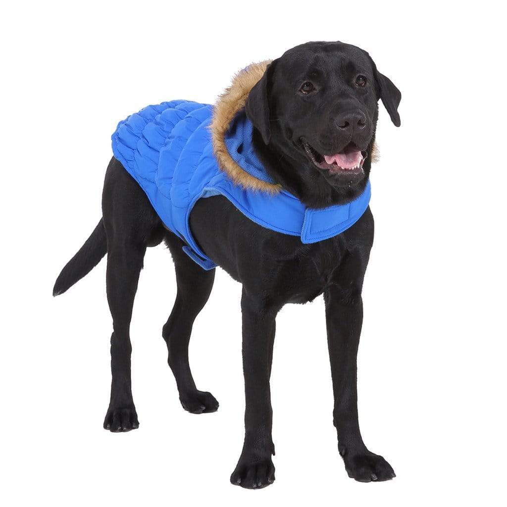 Dogs and Cats Boutique 5 Blue / XL Quilted Fur Hood Dog Jacket