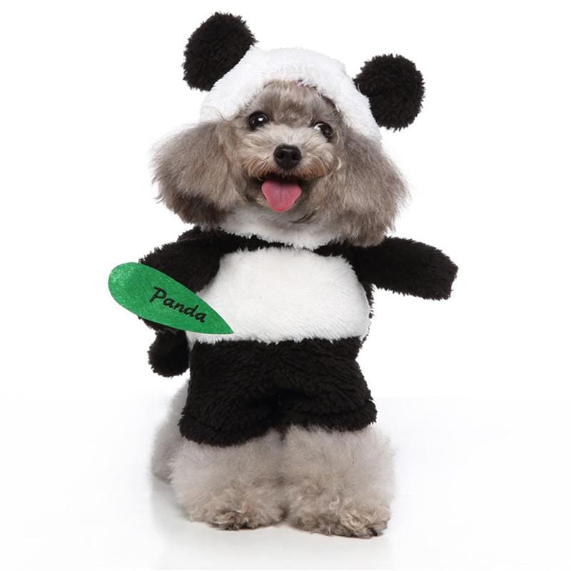 Dogs and Cats Boutique 5 C / S Time To Play Dog Winter Costume