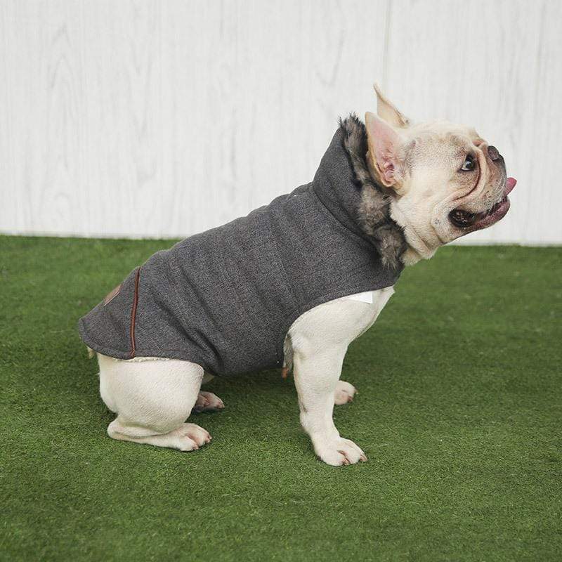 Dogs and Cats Boutique 5 Dark grey / M Plushy Velvet Padded Dog Coat