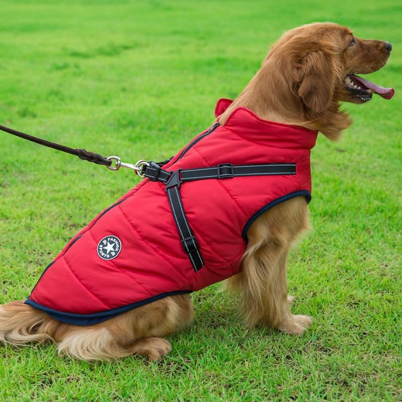 Dogs and Cats Boutique 5 Golden Retriever Quilted Coat