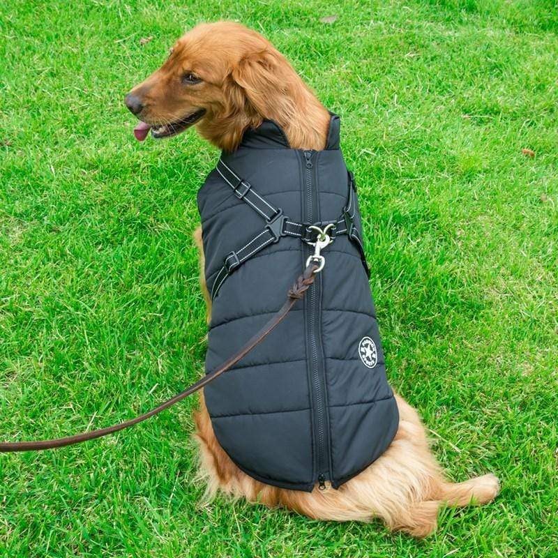 Dogs and Cats Boutique 5 Golden Retriever Quilted Coat