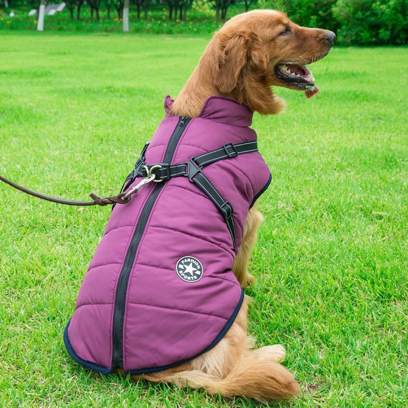 Dogs and Cats Boutique 5 Golden Retriever Quilted Coat