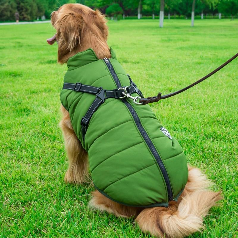 Dogs and Cats Boutique 5 Golden Retriever Quilted Coat