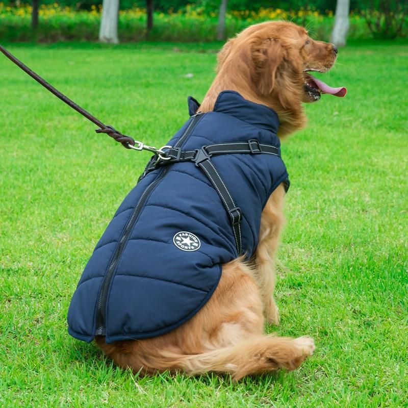 Dogs and Cats Boutique 5 Golden Retriever Quilted Coat