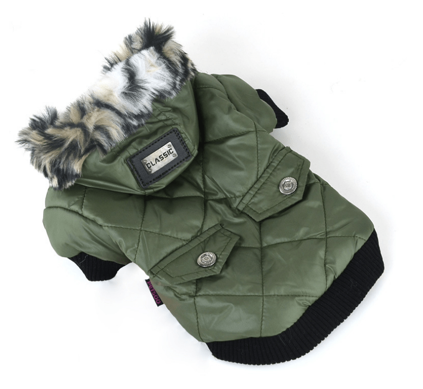 Dogs and Cats Boutique 5 Green / 2XL Fur Collar Pet Coat