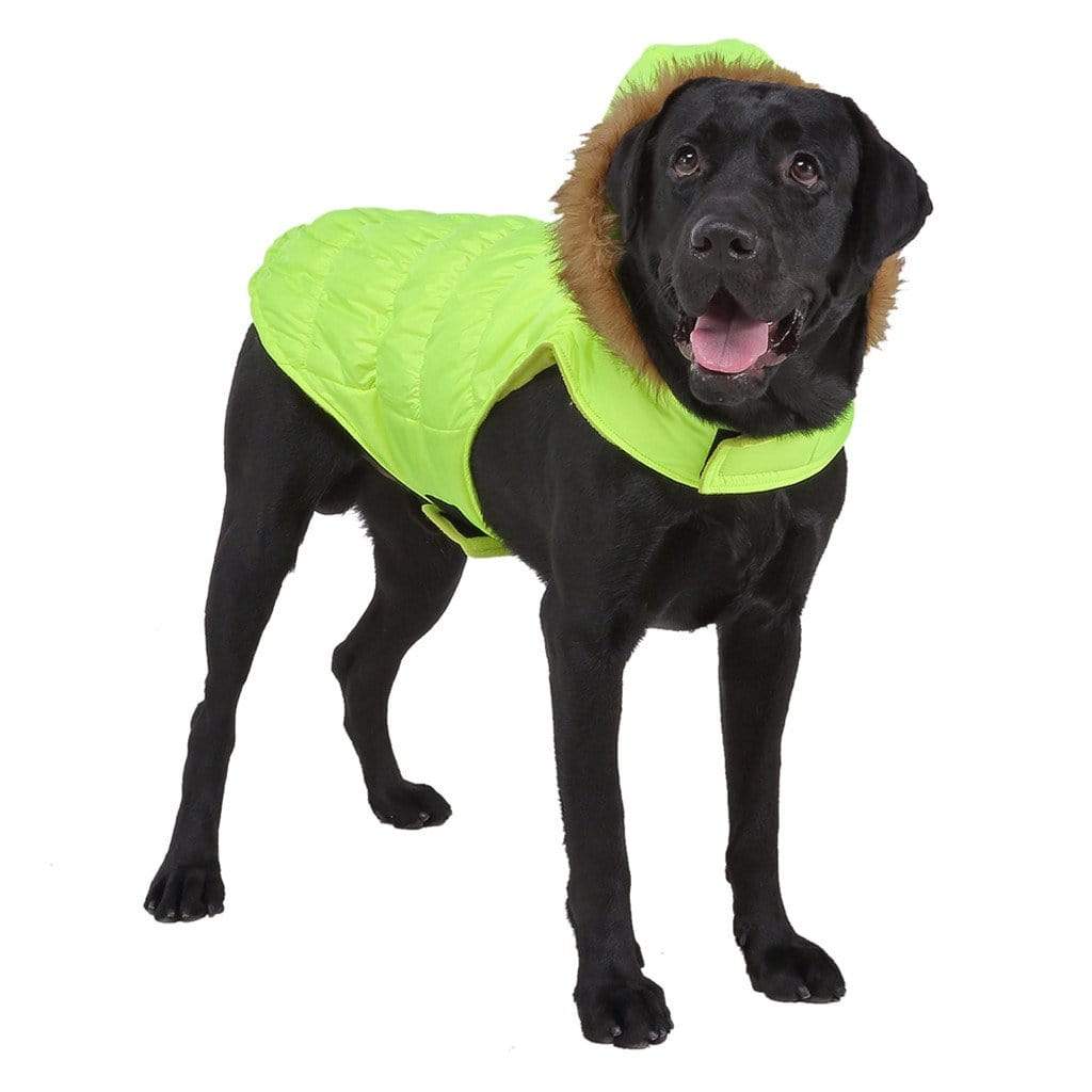 Dogs and Cats Boutique 5 Green / L Quilted Fur Hood Dog Jacket