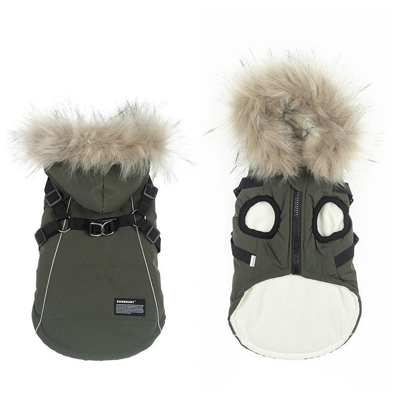 Dogs and Cats Boutique 5 Green / S Pretty Paws Dog Coat