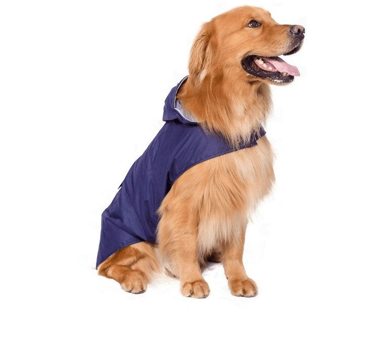 Dogs and Cats Boutique 5 Navy Blue / 4XL Reflective Two-Legged Dog Raincoat Poncho