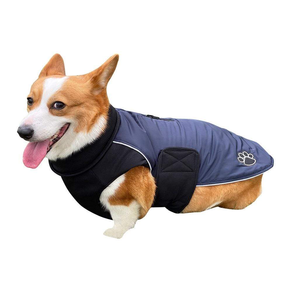 Dogs and Cats Boutique 5 Navy Blue / M Paw Windproof Back Zipper Dog Coat