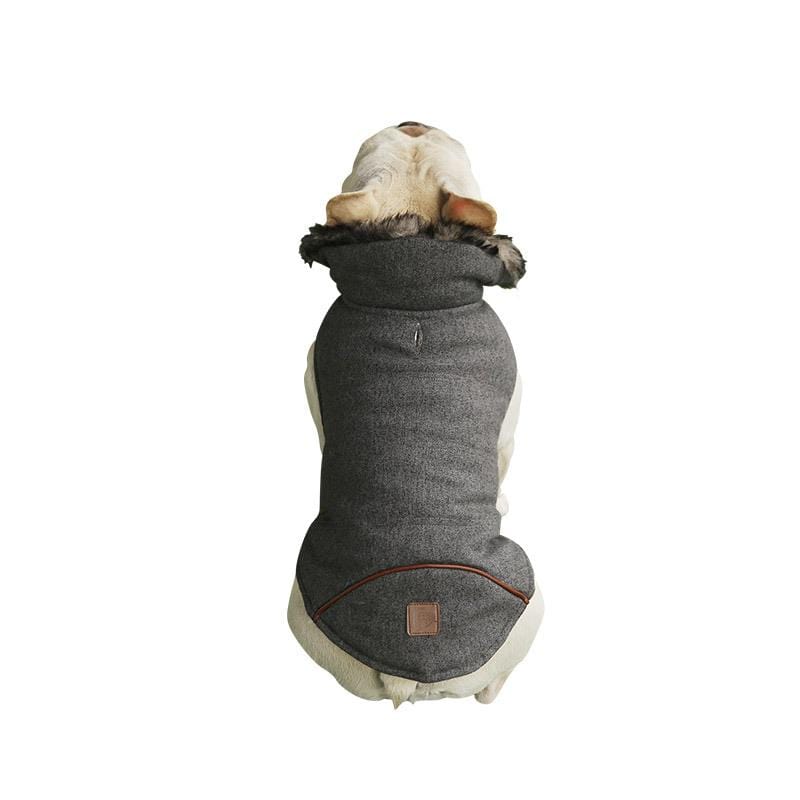 Dogs and Cats Boutique 5 Plushy Velvet Padded Dog Coat