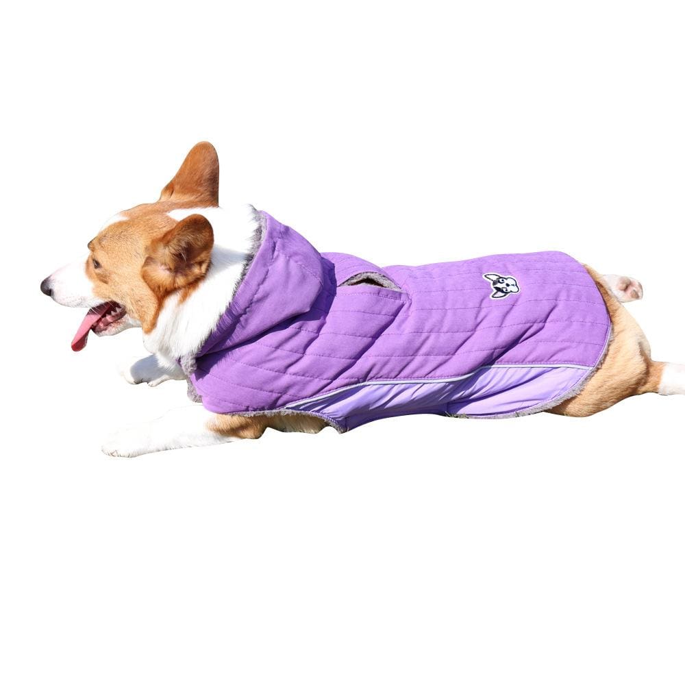 Dogs and Cats Boutique 5 Purple / L Removable Hood Dog Jacket