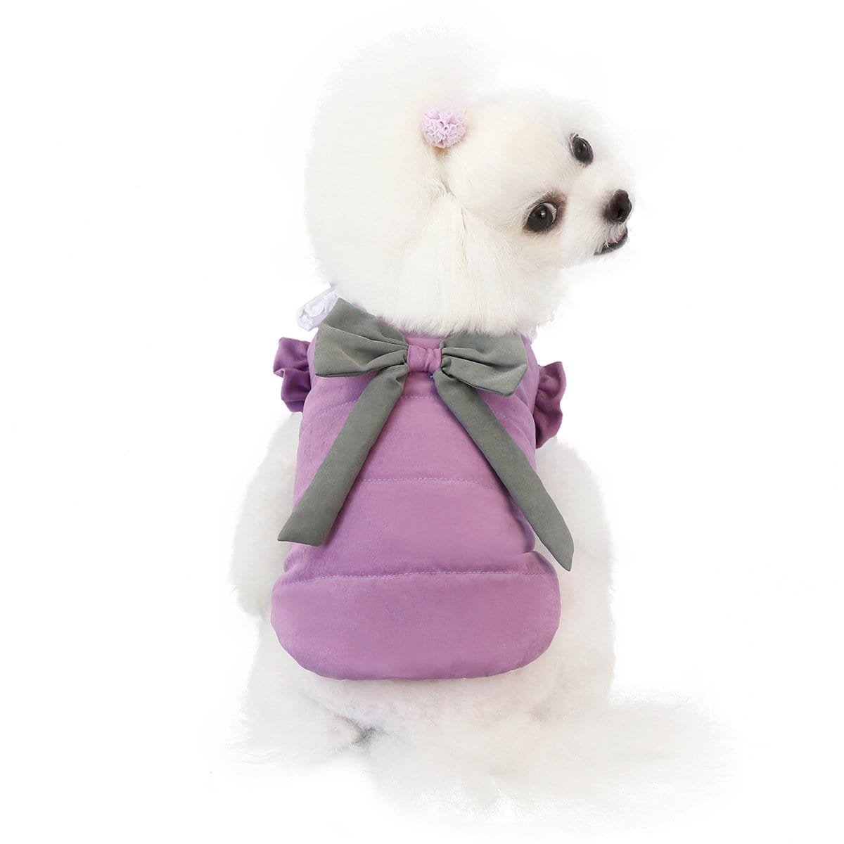 Dogs and Cats Boutique 5 Purple / S Dazzling Lace Collar Winter Dog Coat