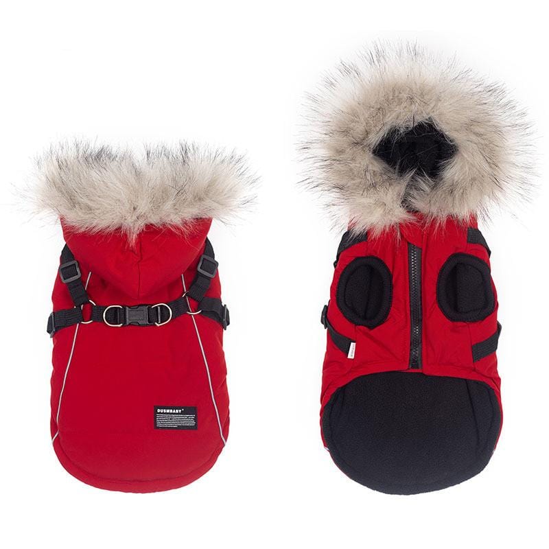 Dogs and Cats Boutique 5 Red / S Pretty Paws Dog Coat