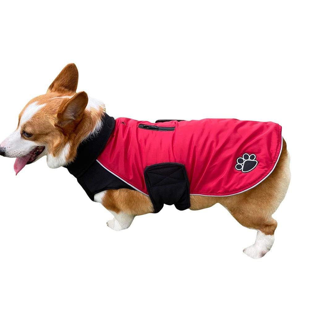 Dogs and Cats Boutique 5 Red / XS Paw Windproof Back Zipper Dog Coat