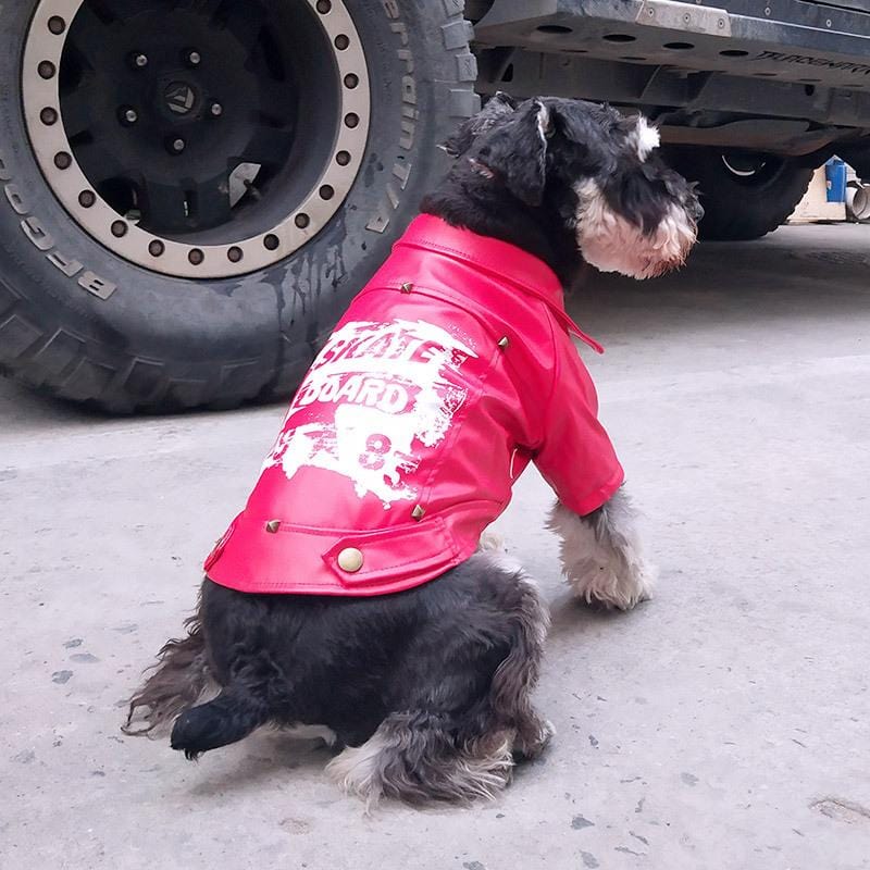 Dogs and Cats Boutique 5 Skate Board 1983 Warm Dog Jacket