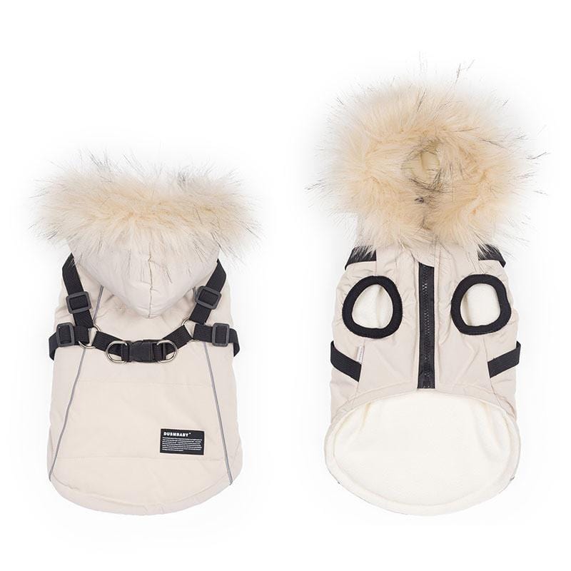 Dogs and Cats Boutique 5 White / S Pretty Paws Dog Coat