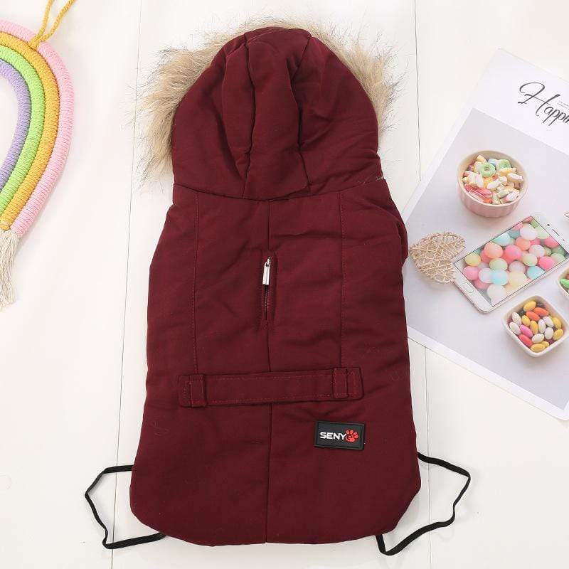 Dogs and Cats Boutique 5 Wine red / M Hooded Dog Winter Coat