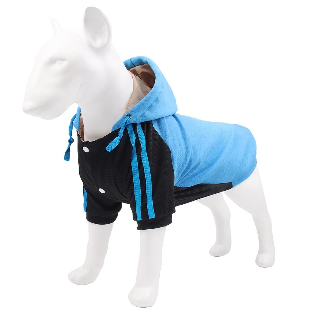 Dogs and Cats Boutique 6 Blue / S One The Ready Dog Hooded Sweater