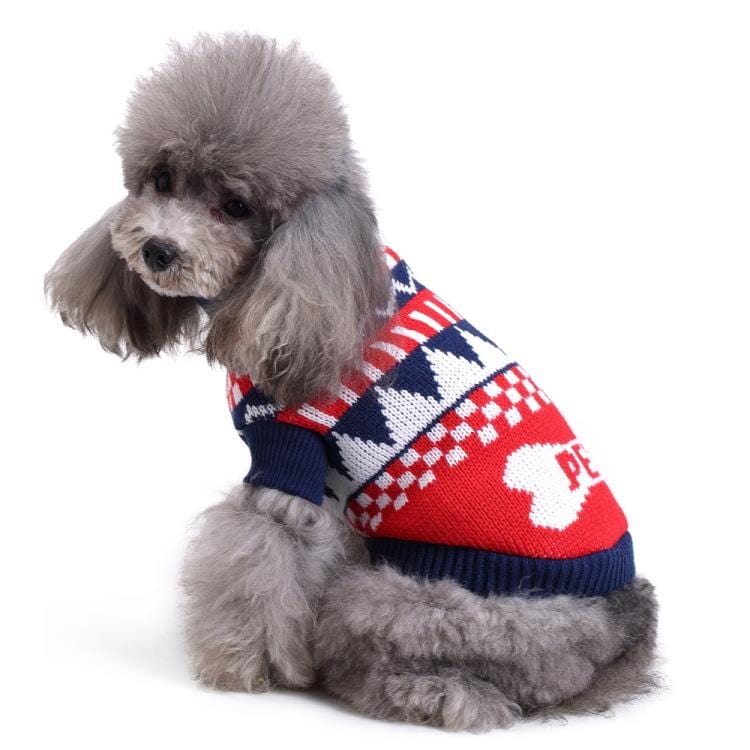 Dogs and Cats Boutique 6 Blue / XXL Christmas Warm Spirit Dog Sweater