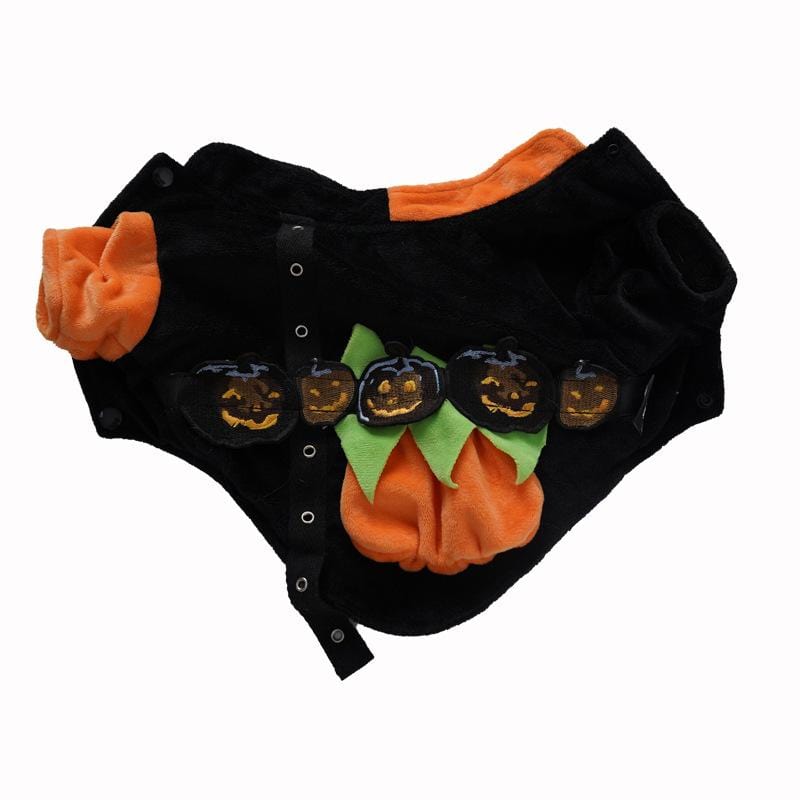 Dogs and Cats Boutique 6 Demon Pumpkin Coat / S Playhouse Halloween Warm Sweater