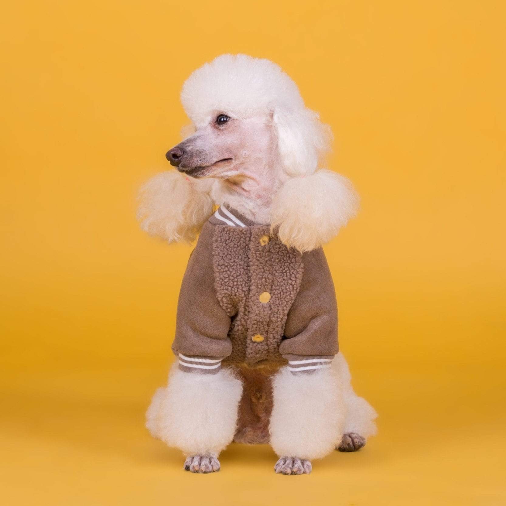 Dogs and Cats Boutique 6 Dog Cashmere Coat