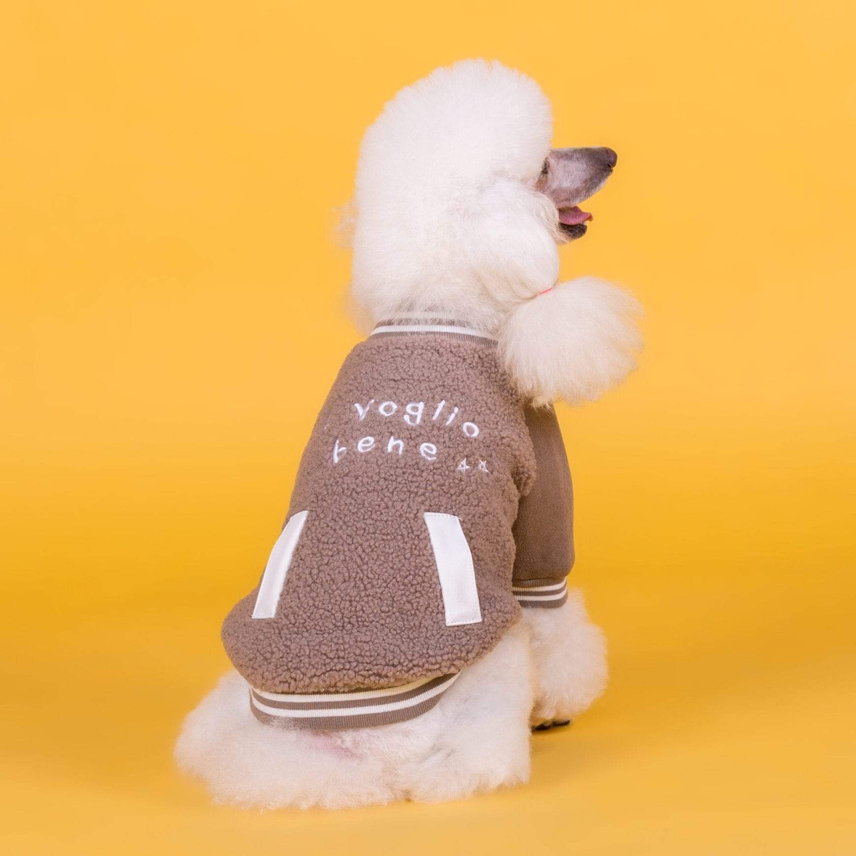 Dogs and Cats Boutique 6 Dog Cashmere Coat