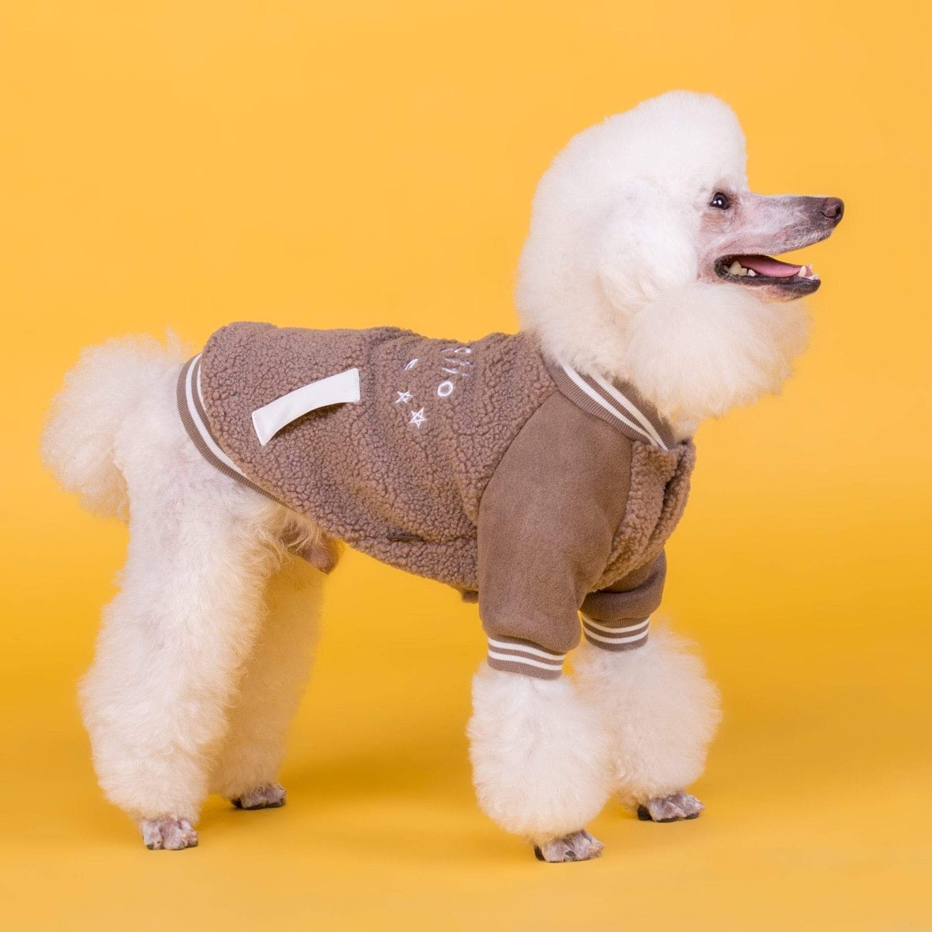 Dogs and Cats Boutique 6 Dog Cashmere Coat