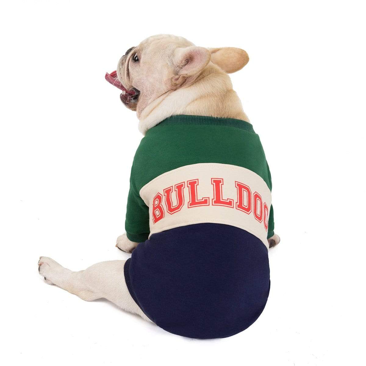 Dogs and Cats Boutique 6 Green / M Bulldog Pet Sweater