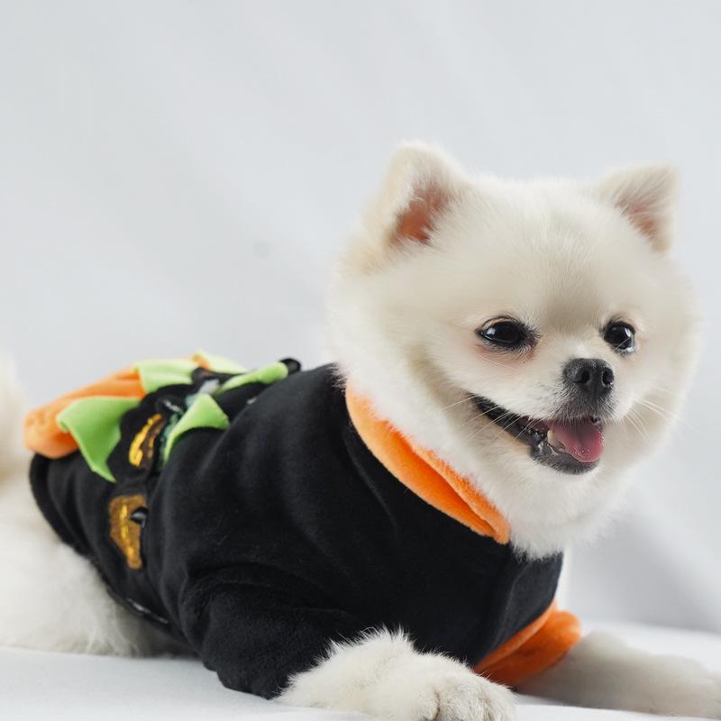 Dogs and Cats Boutique 6 Playhouse Halloween Warm Sweater