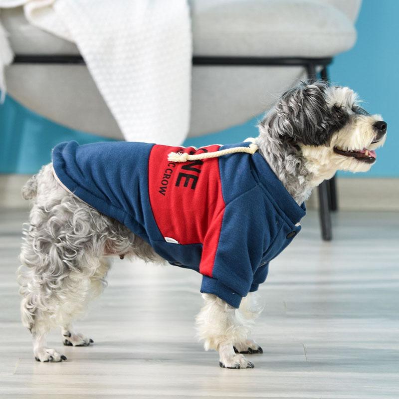 Dogs and Cats Boutique 6 The One Teddy Dog Sweater