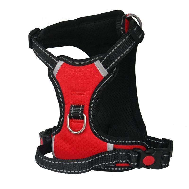 Dogs and Cats Store 11 red / L Adjustable Outdoor Dog Harness